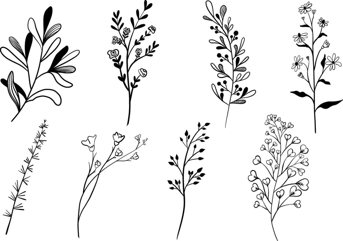 Hand drawn floral elements. Botanical set vector