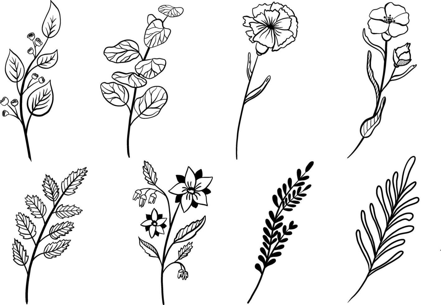 Hand drawn floral elements. Botanical set vector