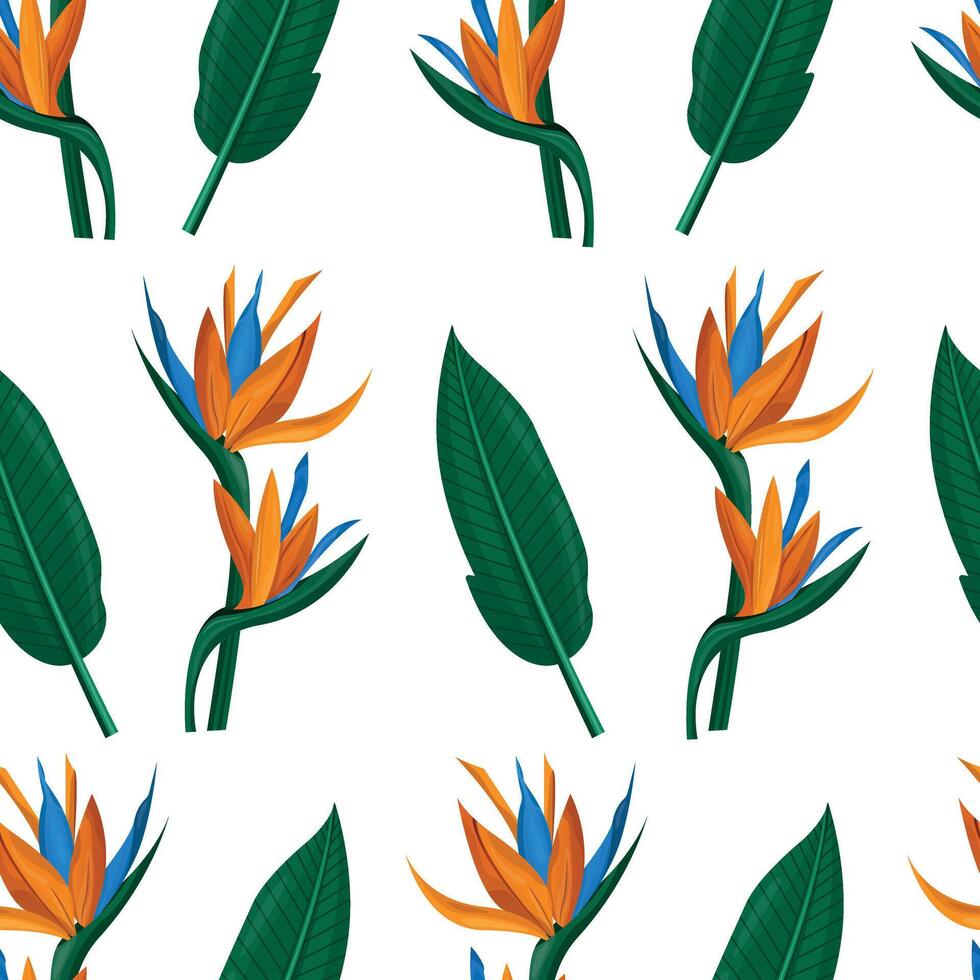 Tropical flora or plants pattern. Flower blossom. Bird pf paradise or strelizia flower. Pattern for texstile vector