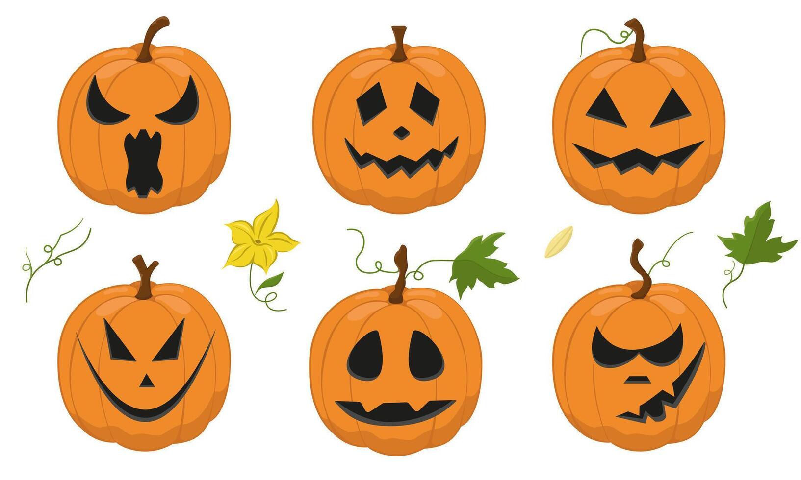 set of Halloween pumpkins. Color image of holiday pumpkins with leaves. Set of icons with vegetables. vector