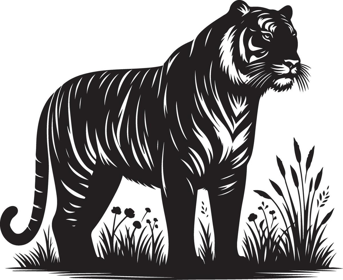 black silhouette of standing tiger on white background of illustration vector
