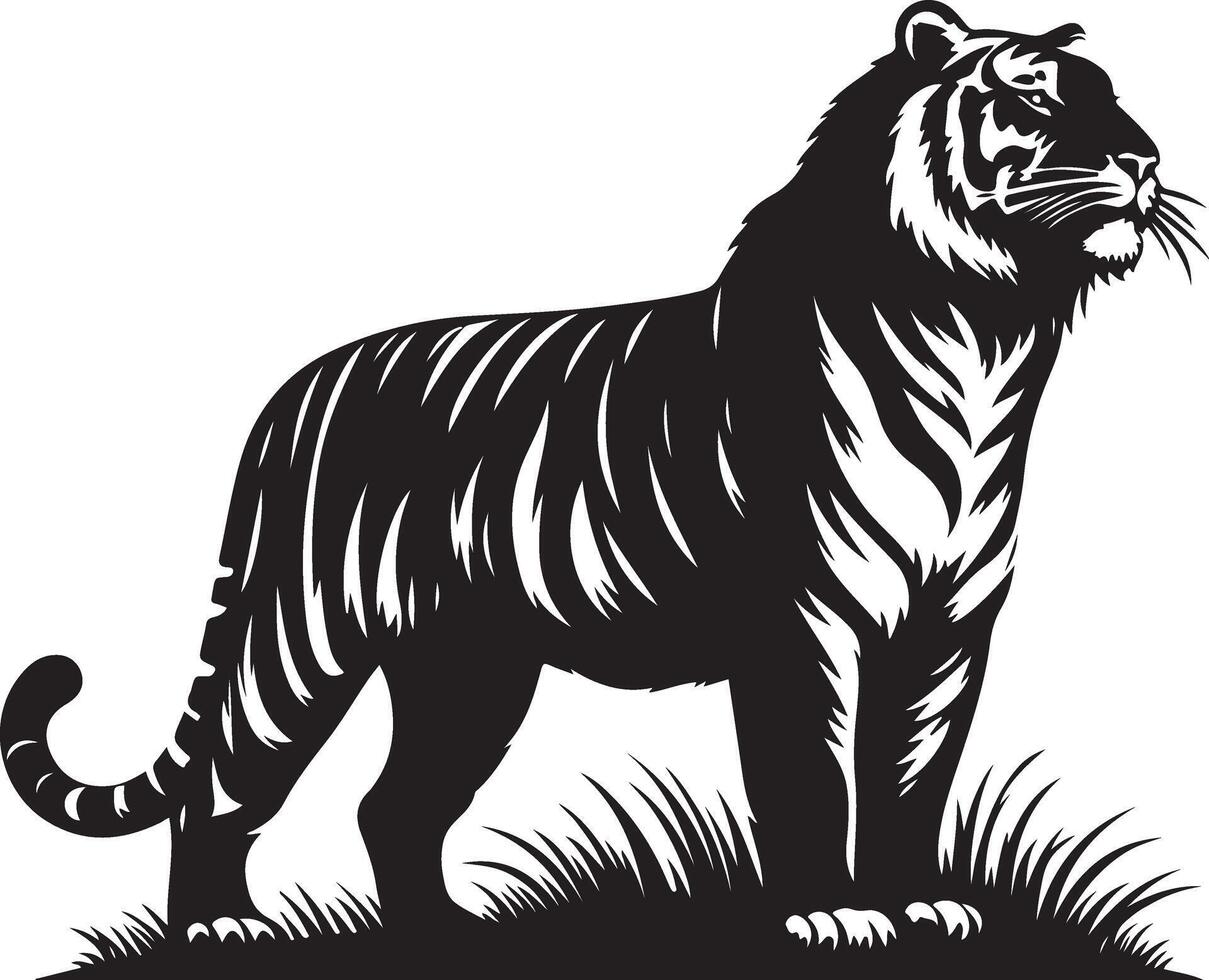 black silhouette of standing tiger on white background of illustration vector