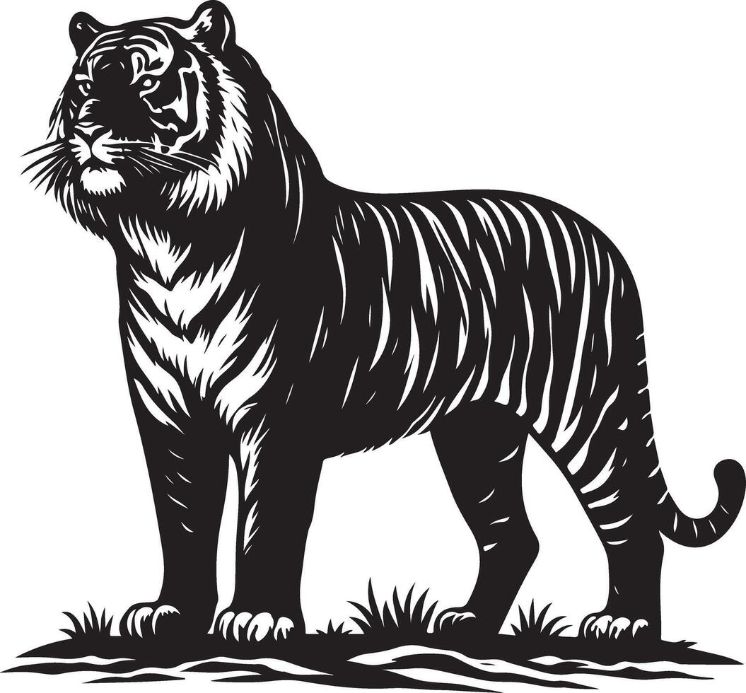 black silhouette of standing tiger on white background of illustration vector