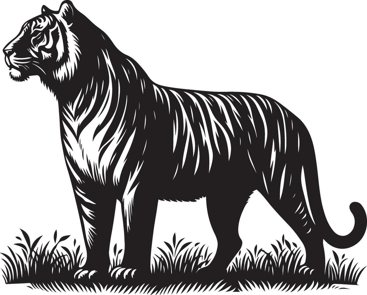 black silhouette of standing tiger on white background of illustration vector