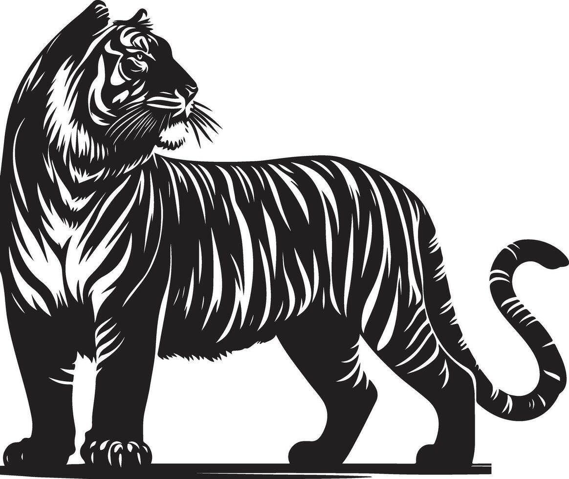 black silhouette of standing tiger on white background of illustration vector