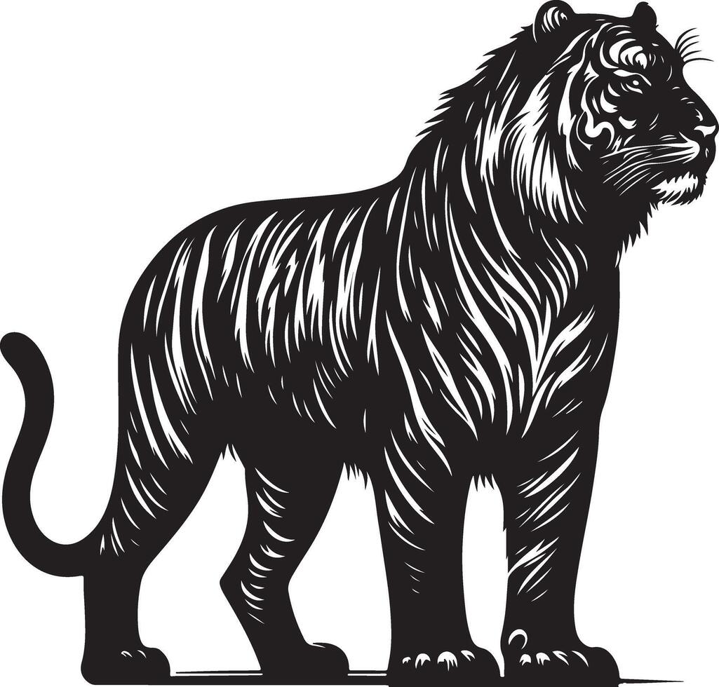 black silhouette of standing tiger on white background of illustration vector