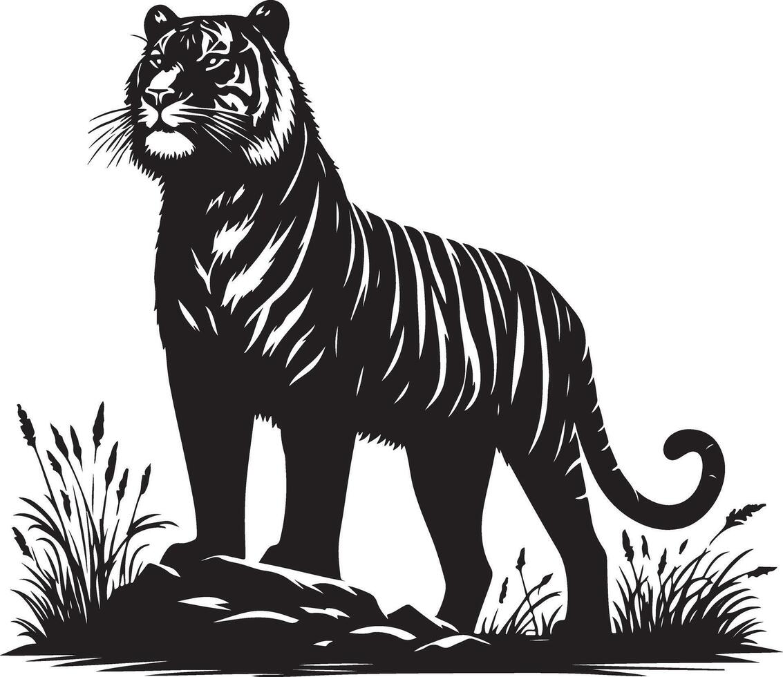 black silhouette of standing tiger on white background of illustration vector