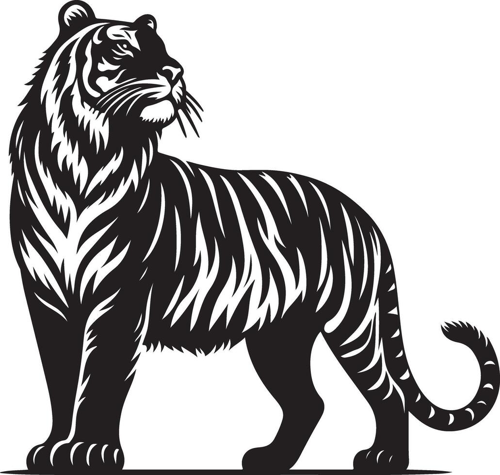 black silhouette of standing tiger on white background of illustration vector