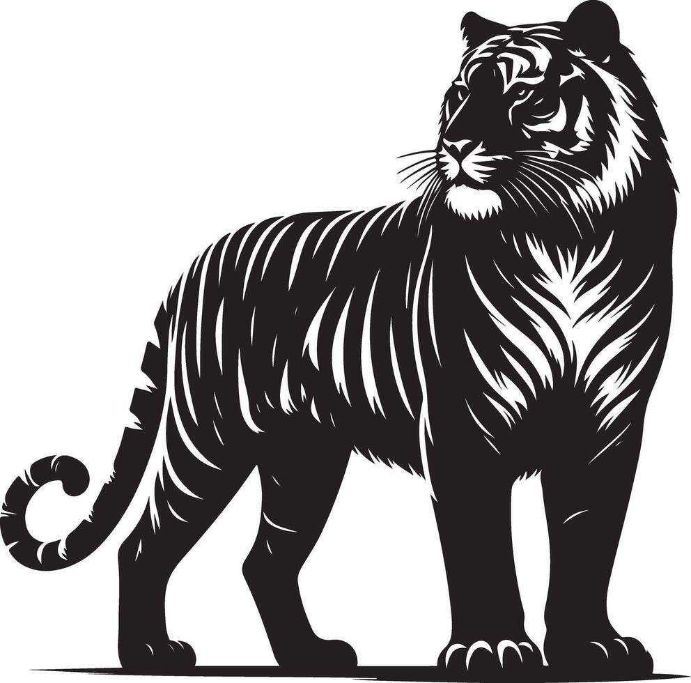 black silhouette of standing tiger on white background of illustration vector
