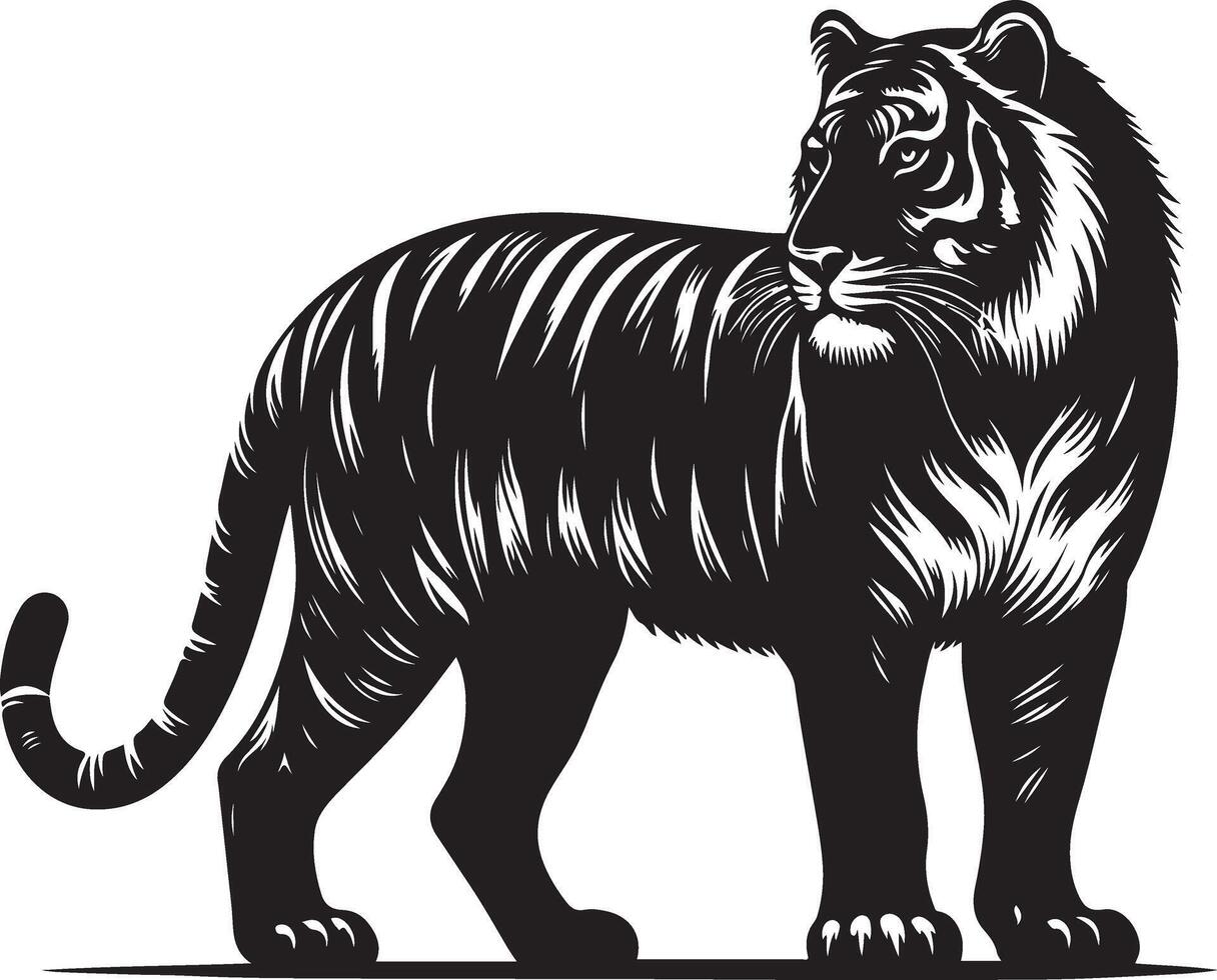 black silhouette of standing tiger on white background of illustration vector