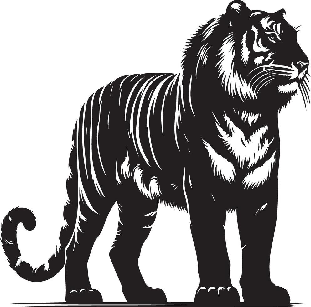 black silhouette of standing tiger on white background of illustration vector