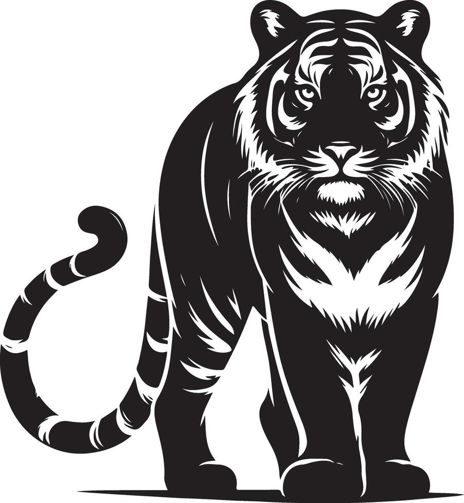black silhouette of standing tiger on white background of illustration vector