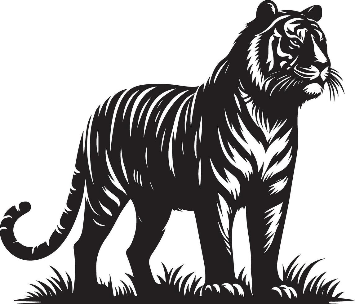 black silhouette of standing tiger on white background of illustration vector
