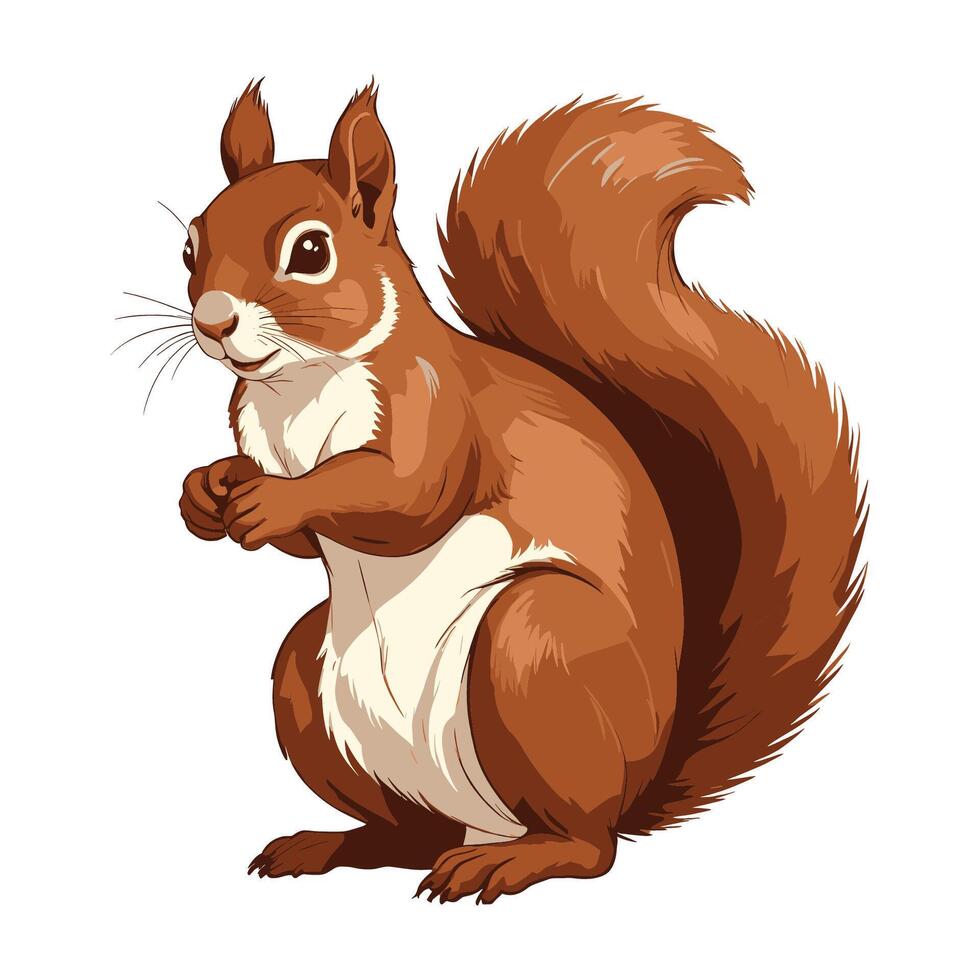 Squirrel Cartoon Character Illustration vector