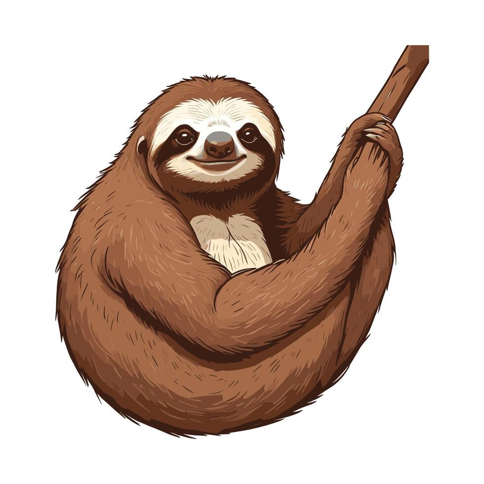 Cute Sloth Hanging Hand Drawn Cartoon Illustration vector