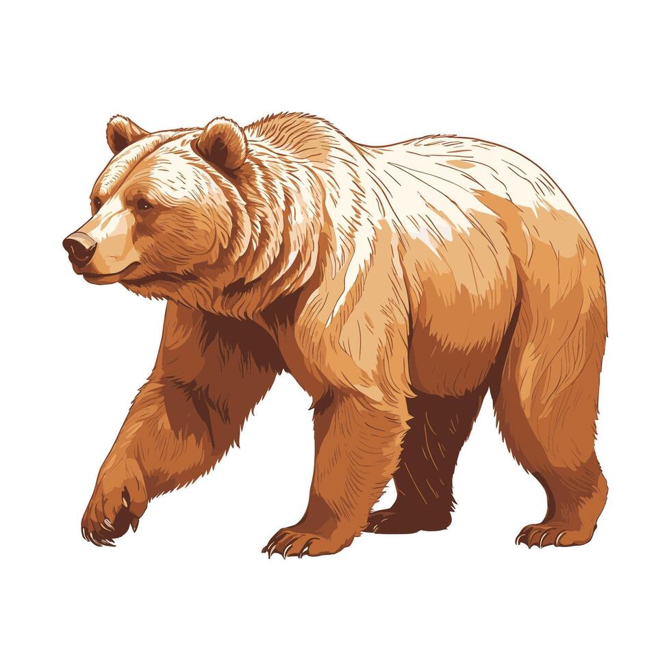 Hand Drawn Bear Walking Engraved Illustration vector