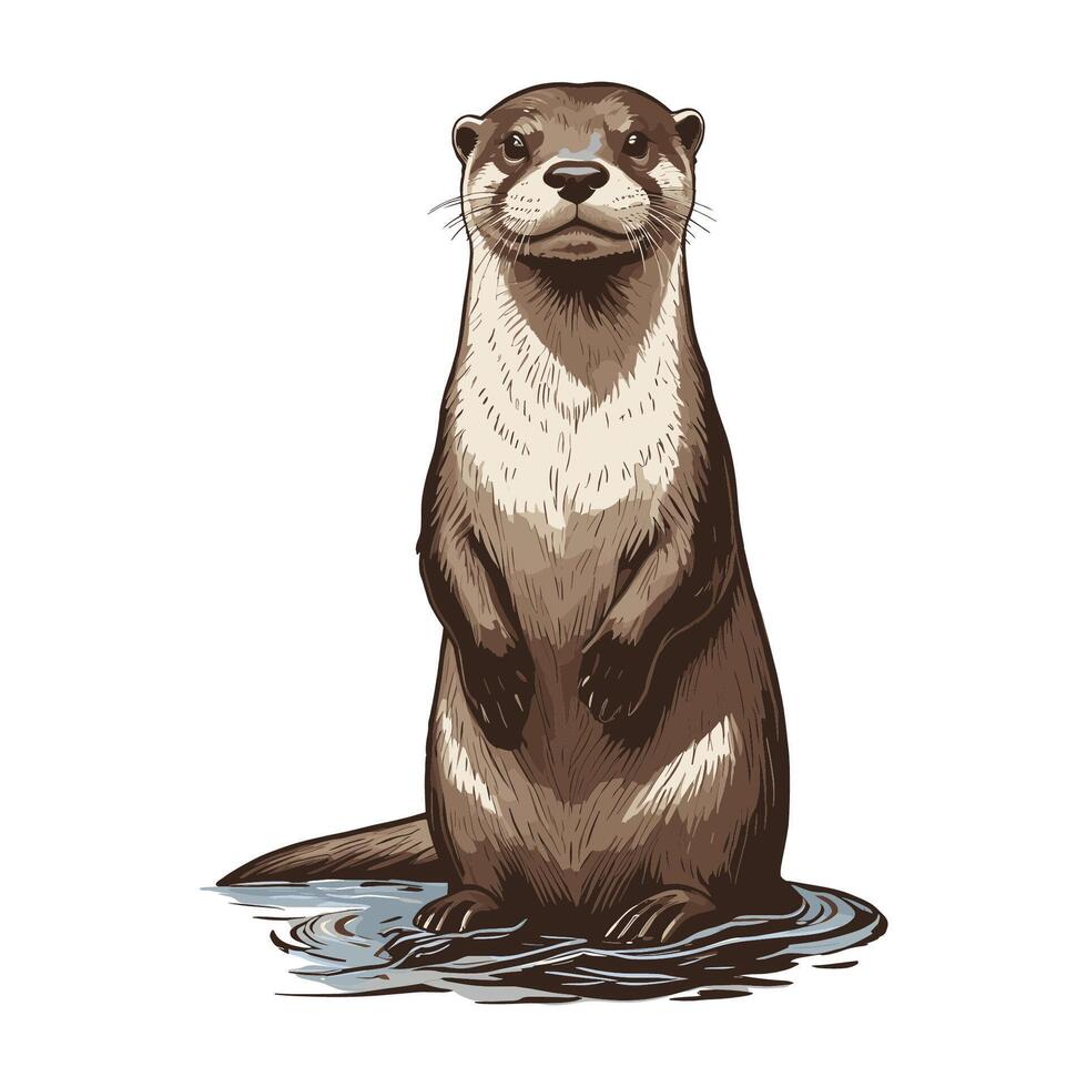 Otter on Rock Hand Drawn Illustration vector