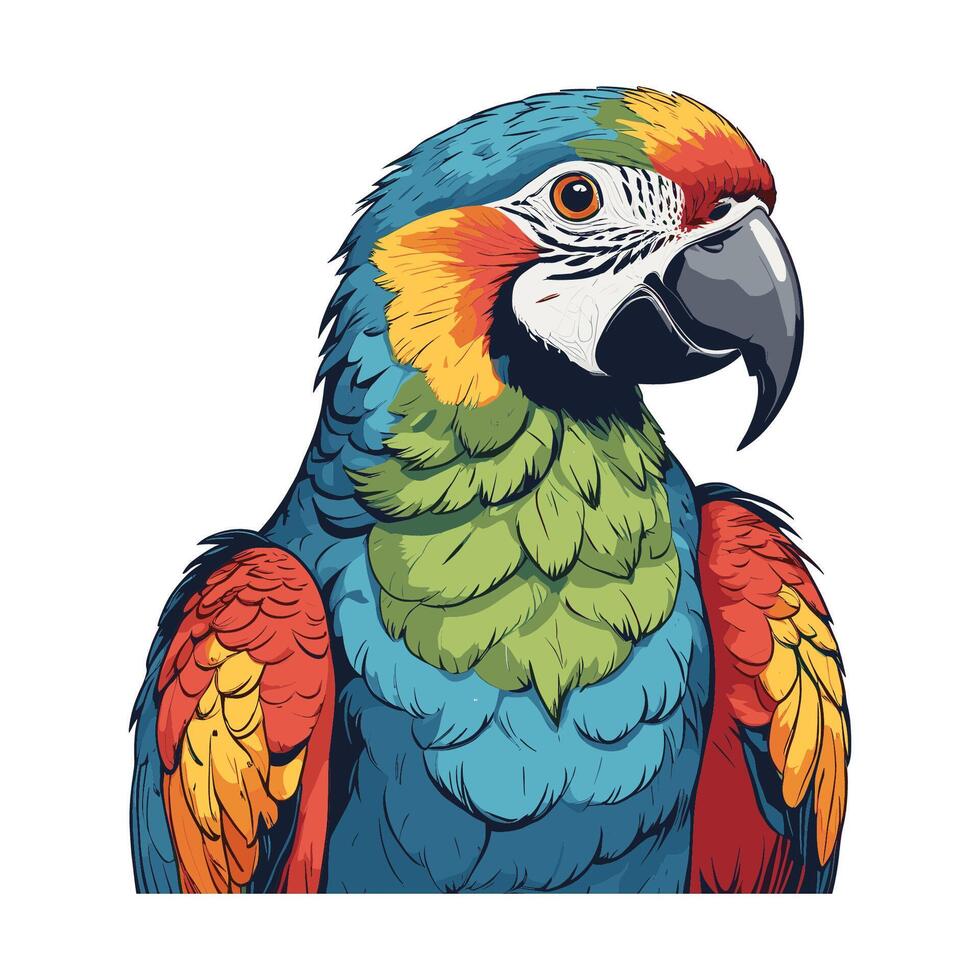 Colorful Parrot Illustration vector