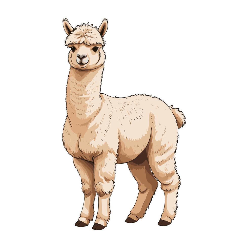 Modern Flat Alpaca Illustration with Playful Design vector