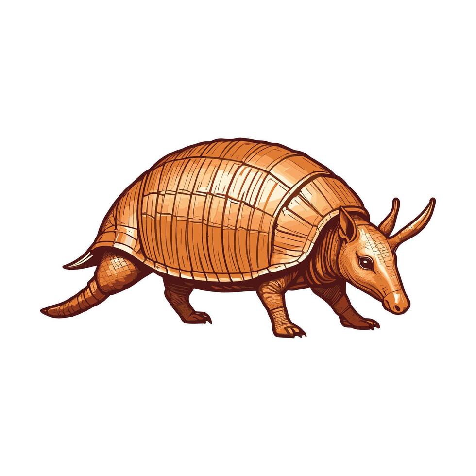 Hand Drawn Armadillo Vintage Color Illustration vector