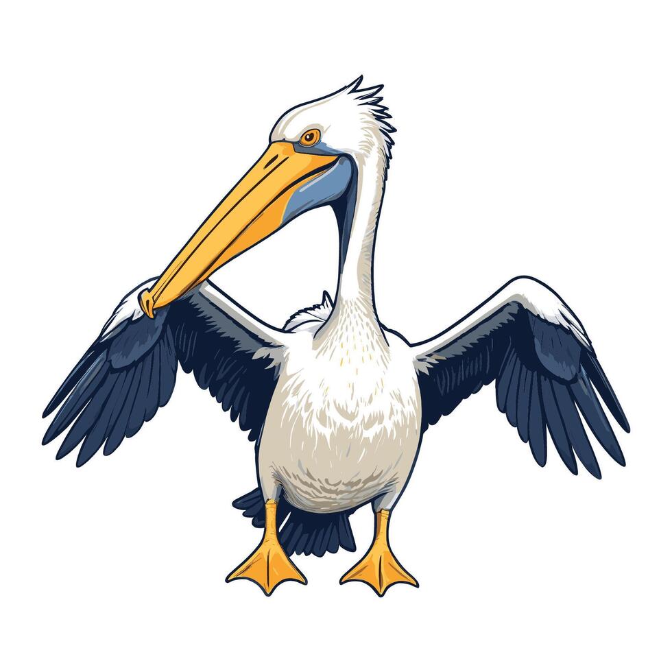 Pelican Cartoon Illustration vector