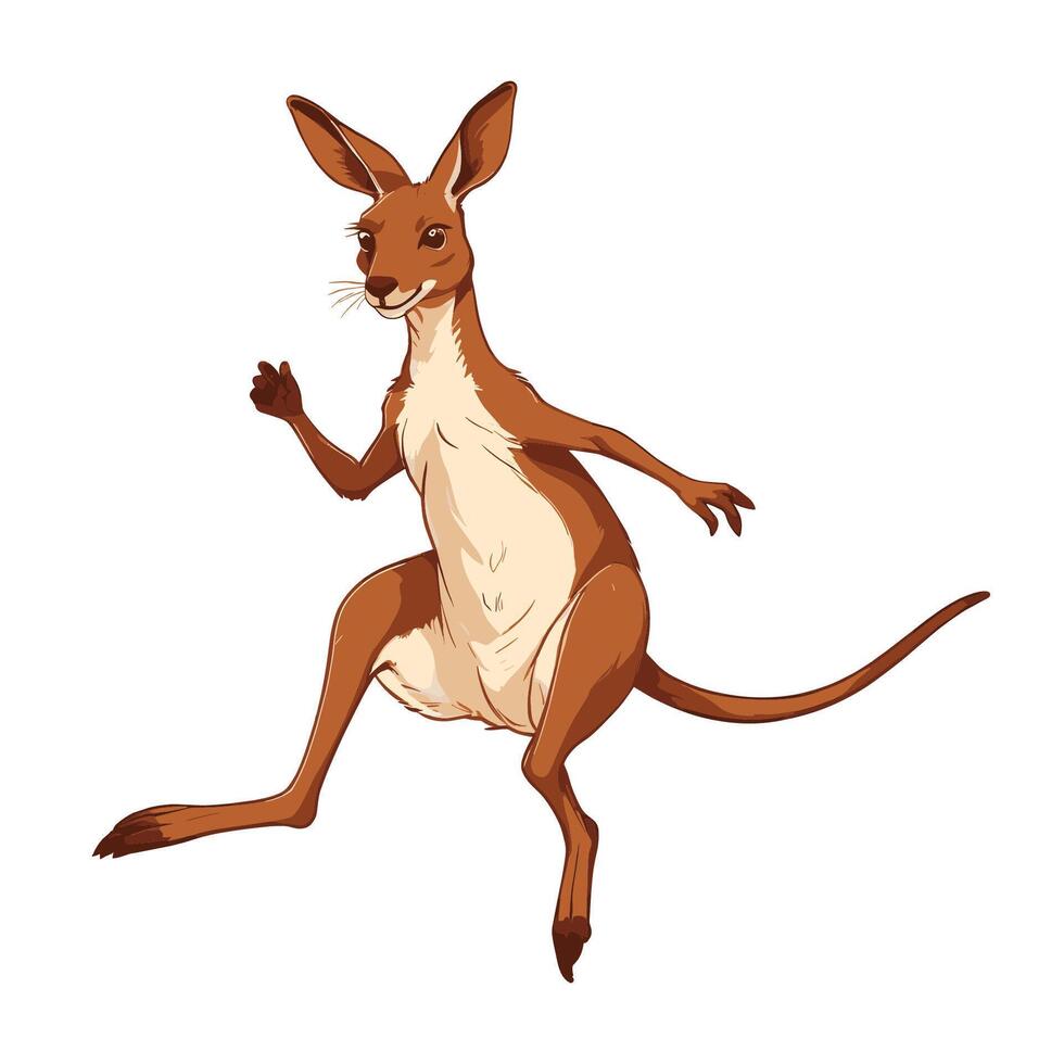 Kangaroo Jumping Illustration vector