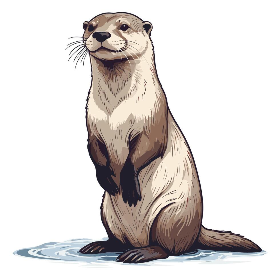 Otter Illustration with Water Splash vector