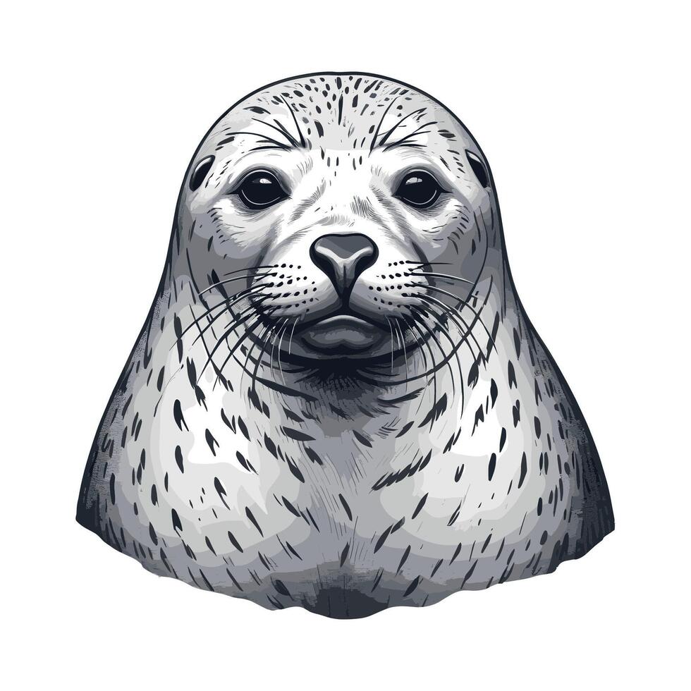 Hand Drawn Seal Portrait Illustration vector