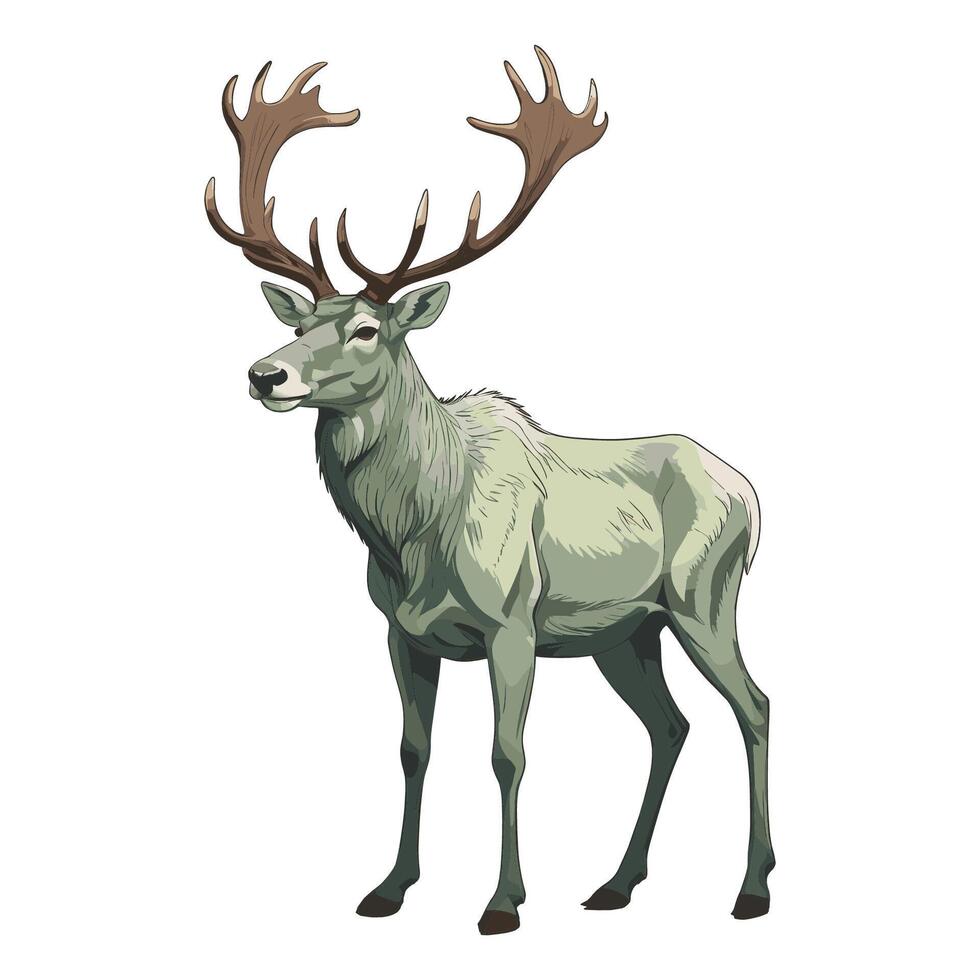 Hand Drawn Caribou with Branching Antlers vector