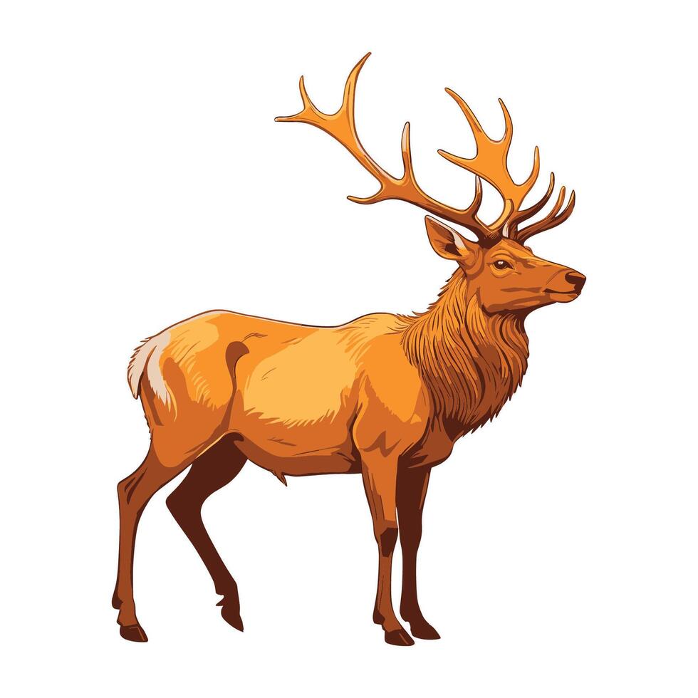 Hand Drawn Elk Illustration vector