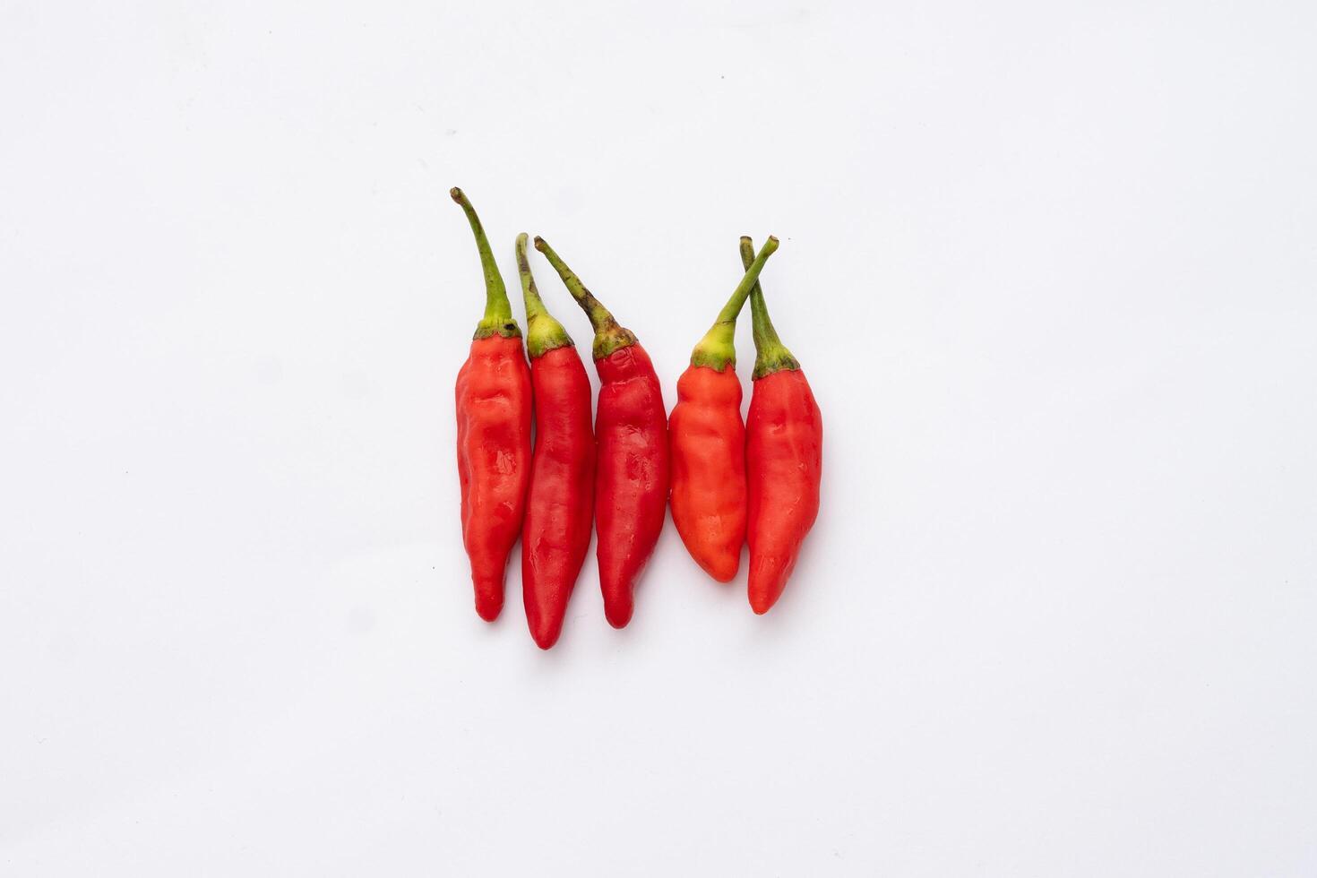 Red chili peppers lined up on a white background, showcasing their vibrant color and texture, perfect for food, spice, and culinary projects photo