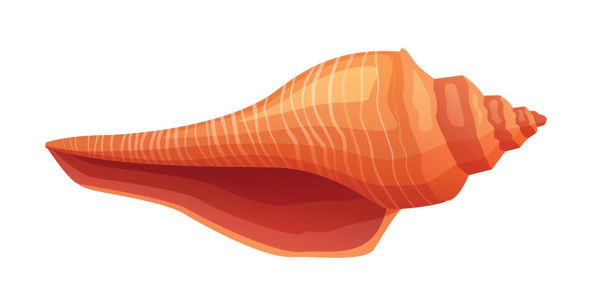 Conch seashell cartoon illustration isolated on white background vector