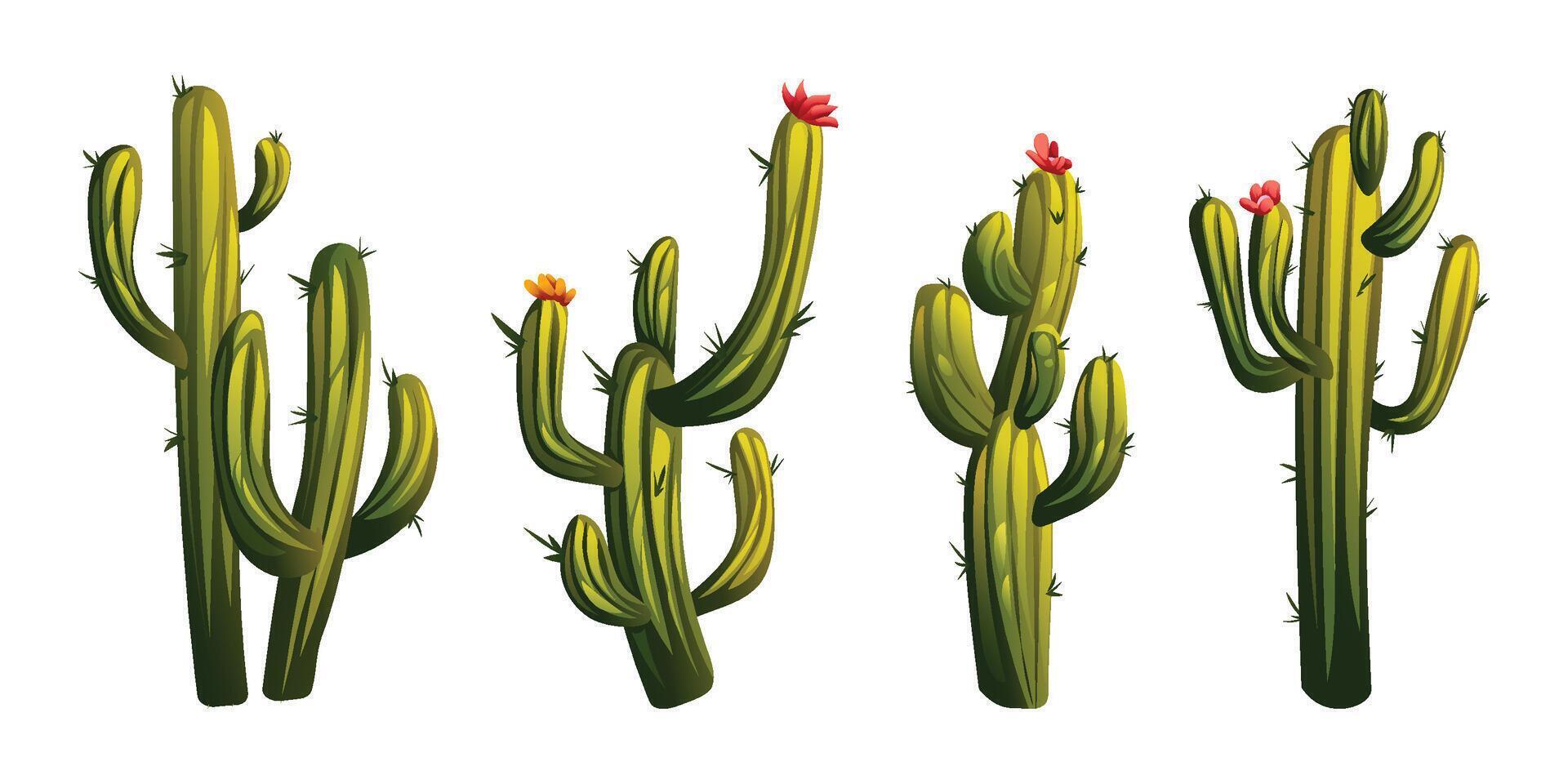 Set of cactus illustration. Desert plant cartoon isolated on white background vector