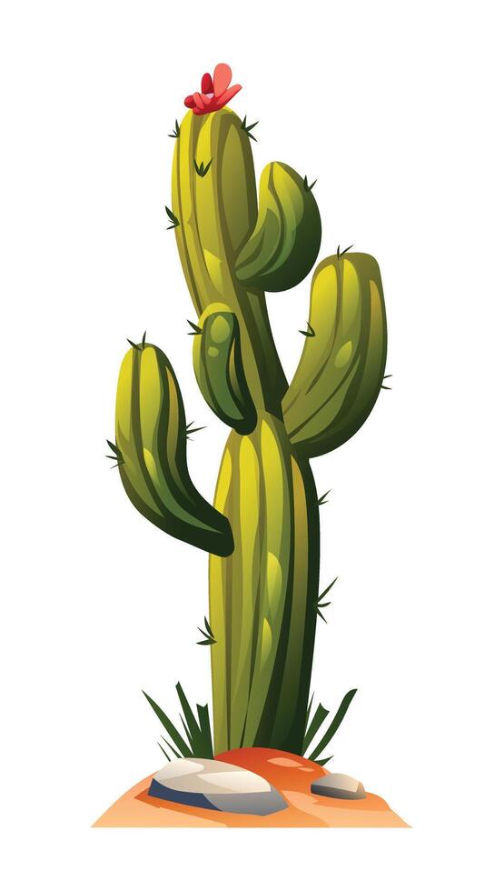 Cactus tree illustration isolated on white vector