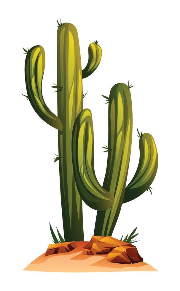 Cactus on the ground cartoon illustration isolated on white vector