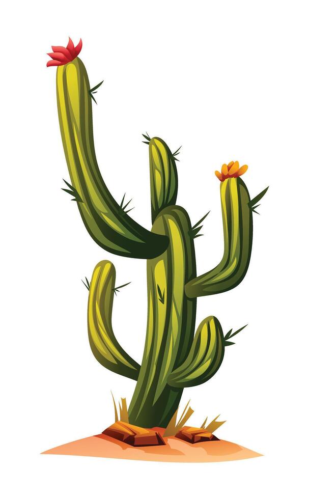 Cactus tree on the ground cartoon illustration isolated on white vector