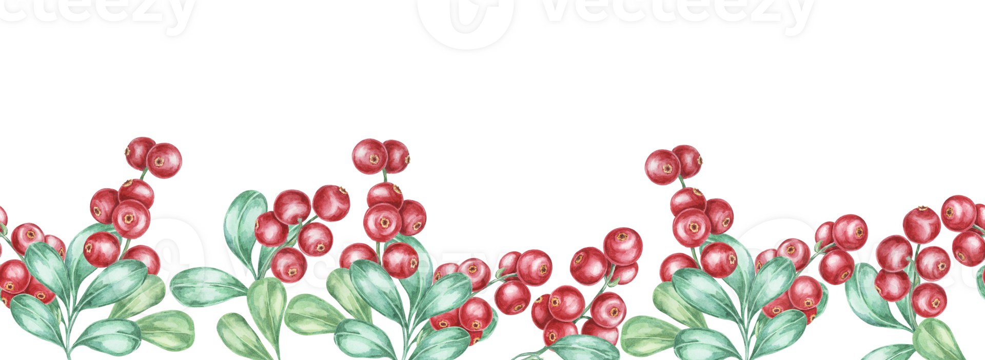 Cranberry, lingonberry seamless border watercolor clipart showcasing red berries paired with detailed green leaves. Ideal for use in seasonal brochures, kitchen decor, or handmade card designs png