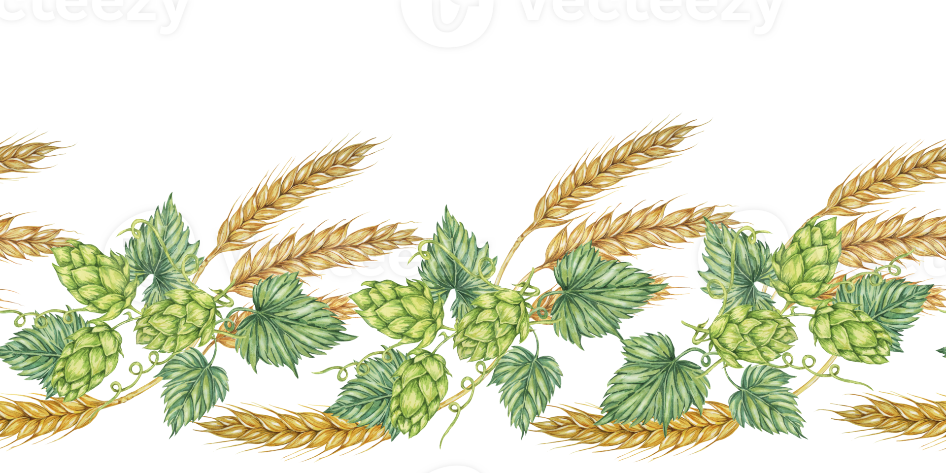 Hops and barley seamless border in watercolor. Green humulus lupulus cones and wheat ears repeating pattern banner for Oktoberfest, St Patrick's day, beer labels, traditional festival clipart png