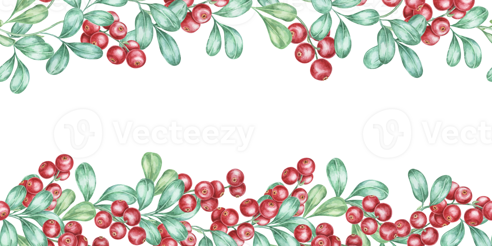 Cranberry seamless border watercolor clipart with an elegant design of red berry clusters and green leaves. Perfect for botanical prints, event invitations, or seasonal merchandise branding png