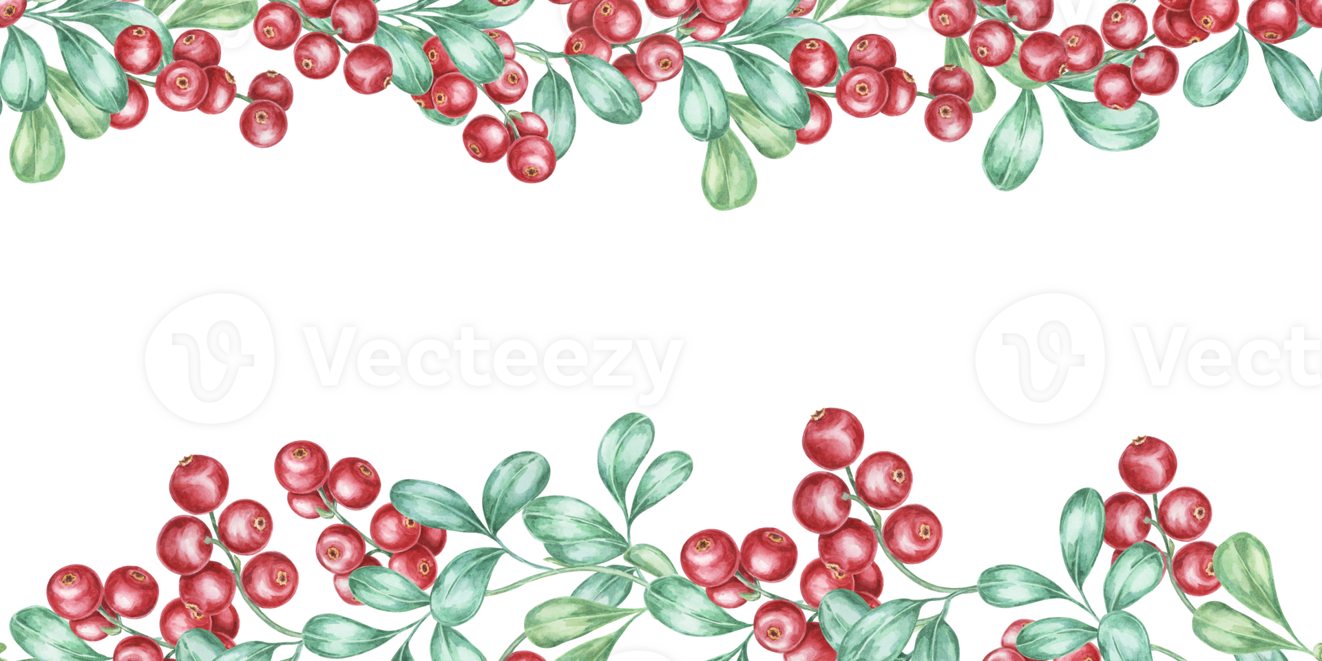 Cranberry seamless border watercolor clipart showcasing a harmonious mix of red lingonberries and green foliage. Suitable for use in greeting cards, festive tableware, or natural product marketing png