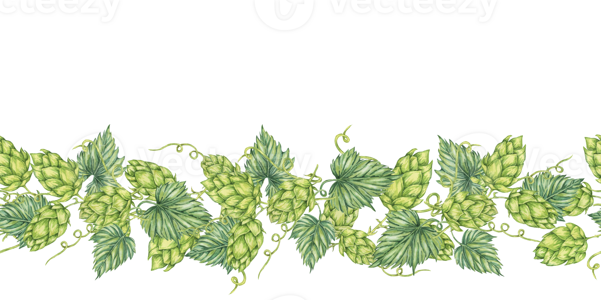 Hops and leaves seamless border in watercolor. Green humulus lupulus repeating pattern banner for Oktoberfest, St Patricks day, beer labels, brewery art. Hop cones clipart for festival, flyers png