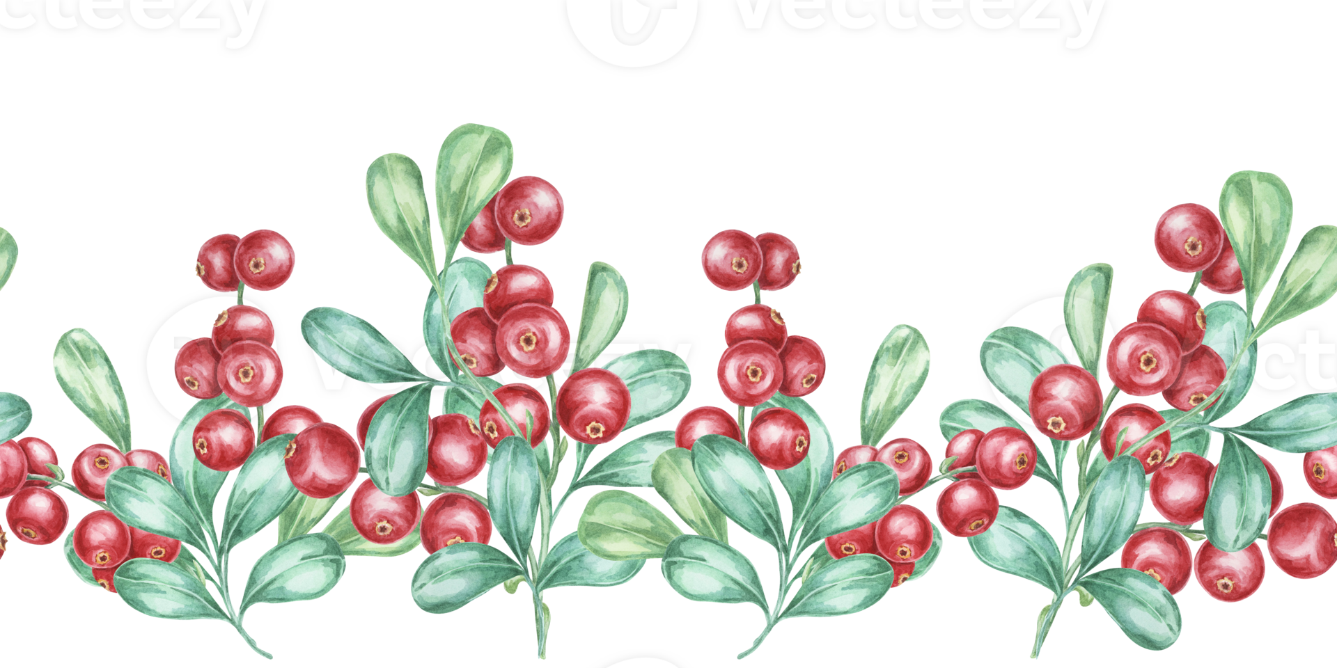 Cranberry seamless border watercolor clipart featuring clusters of vibrant red lingonberries and lush green leaves. Ideal for holiday greeting cards, festive packaging, or seasonal marketing materials png