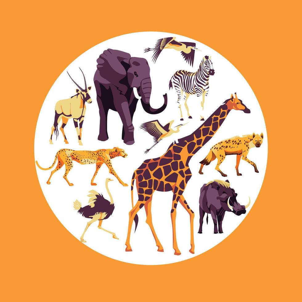 Square and round set of wild African animals. Orange color. flat illustration. Zoo and tourism vector
