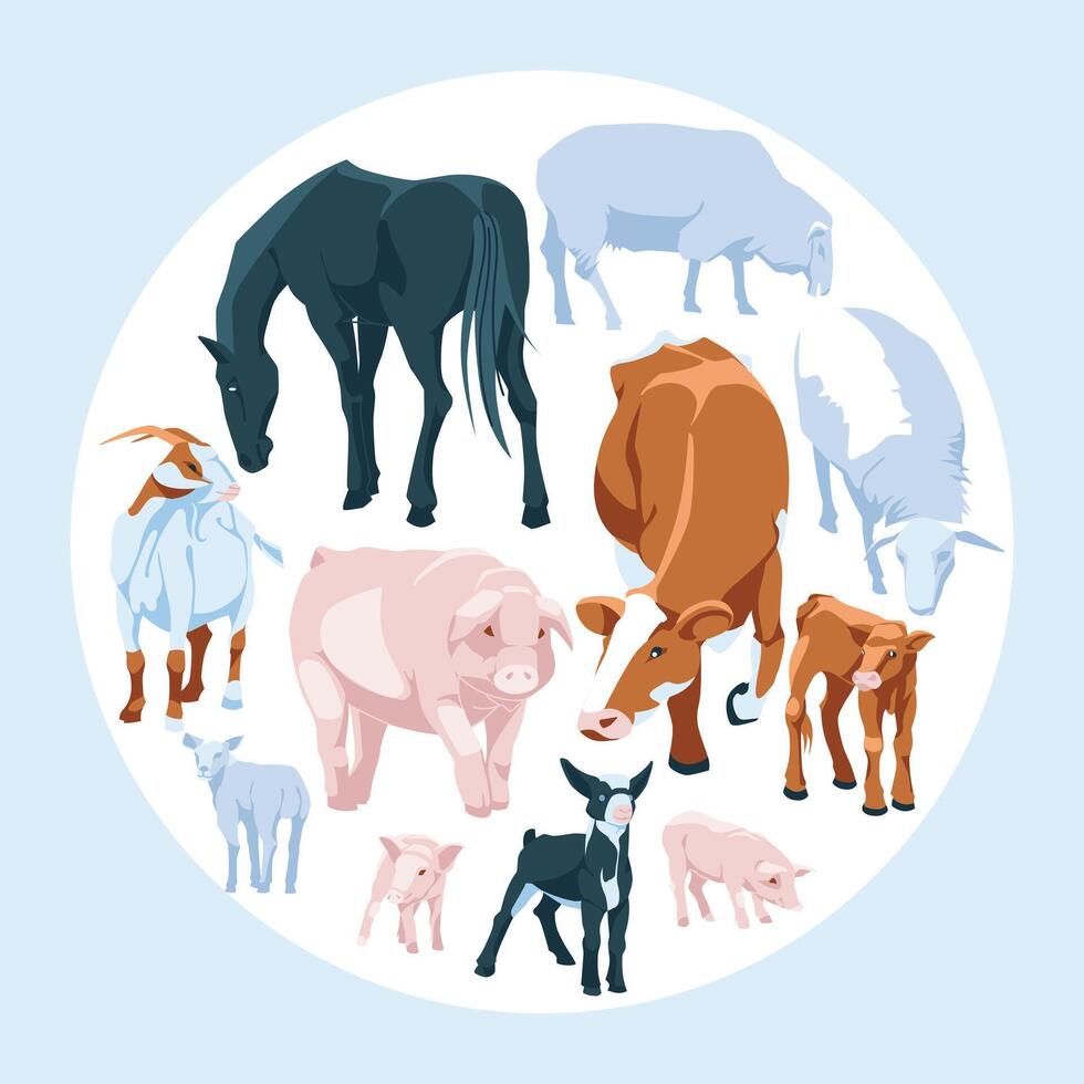 Round and square set of domestic farm animals. flat illustration. Farming and agriculture vector