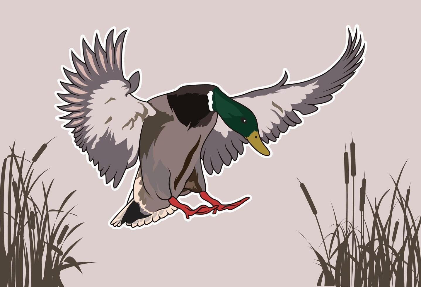 mallard duck illustration with Cattails Silhouette vector