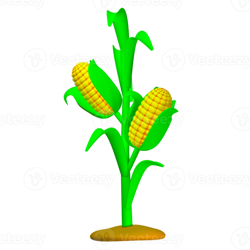 3d cute corn cartoon isolated render png