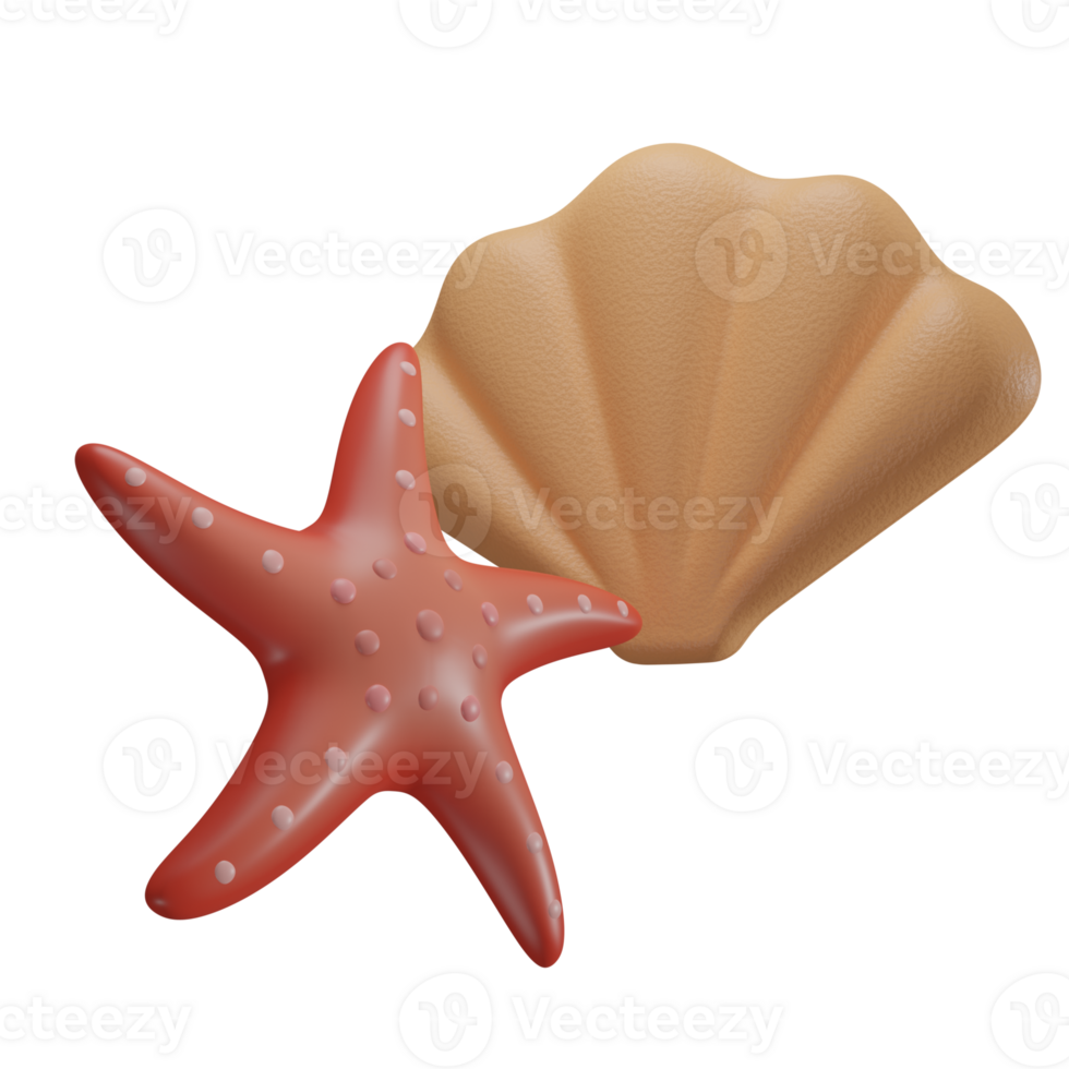 Shell And Starfish 3D Icon png