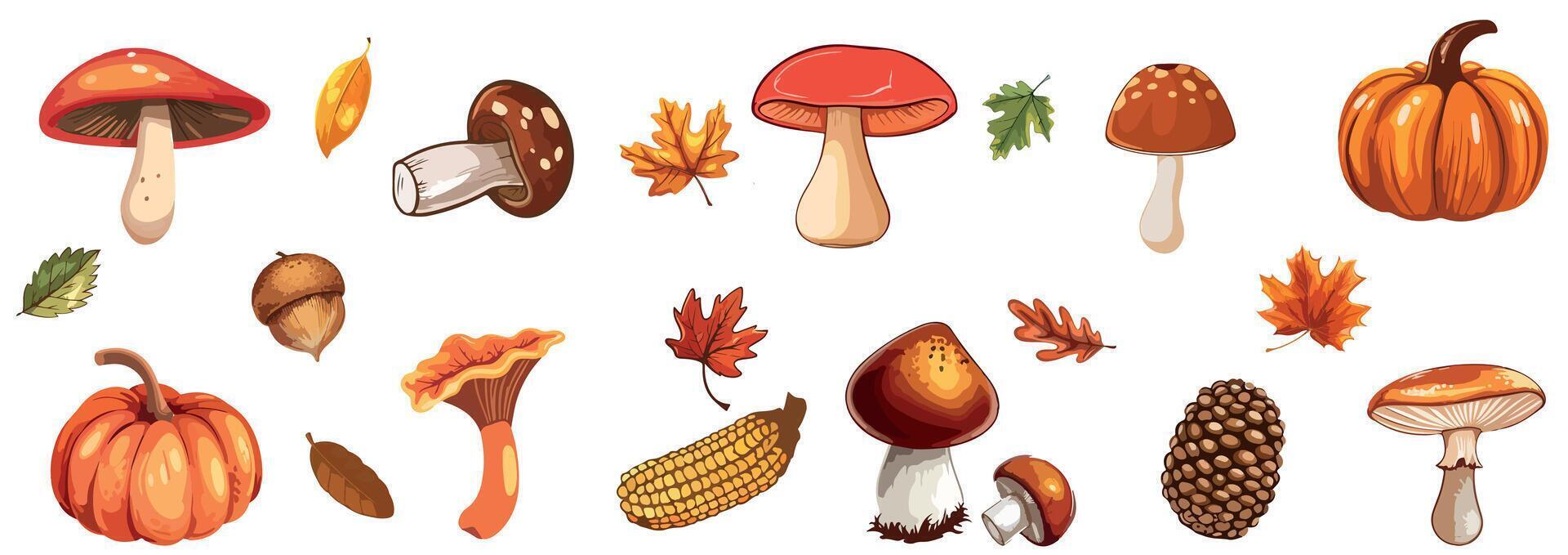 Autumn forest hand drawn Mushrooms, Pumpkins, Leaves, Acorns, and Corn on White Background. Autumn nature season. Botanical elements. Design for collage, poster, banner, card, sticker template vector