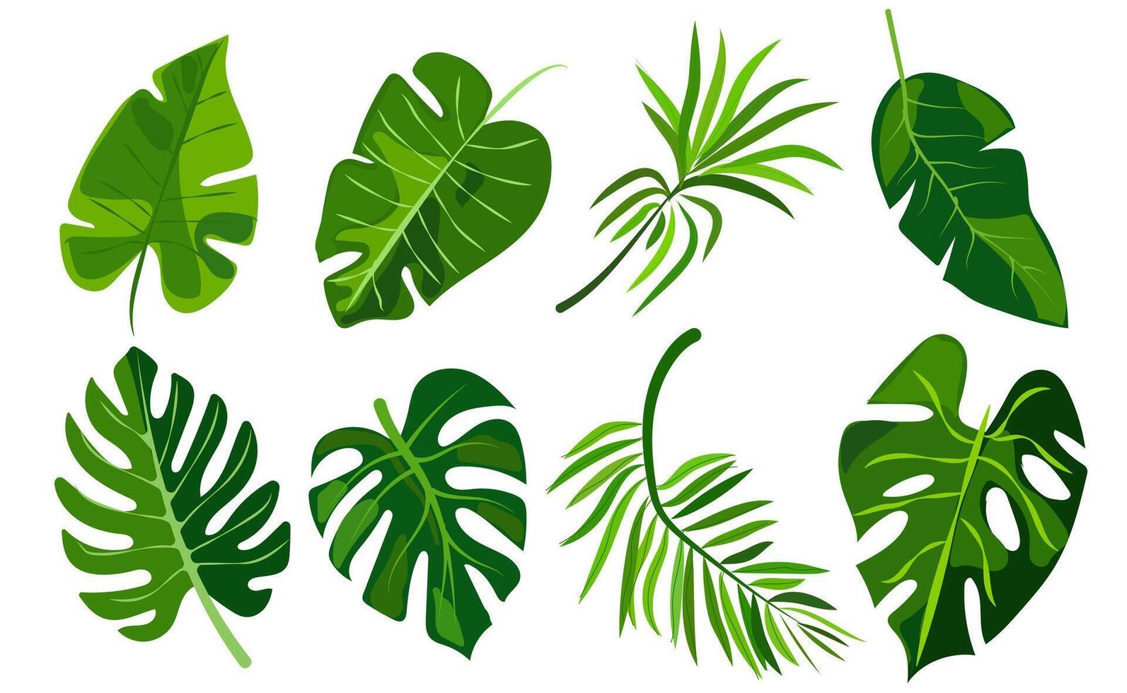 features eight different types of green leaves, each with distinct shapes and vein patterns. diverse foliage showcases various botanical designs, ideal for nature-related graphics and design projects vector