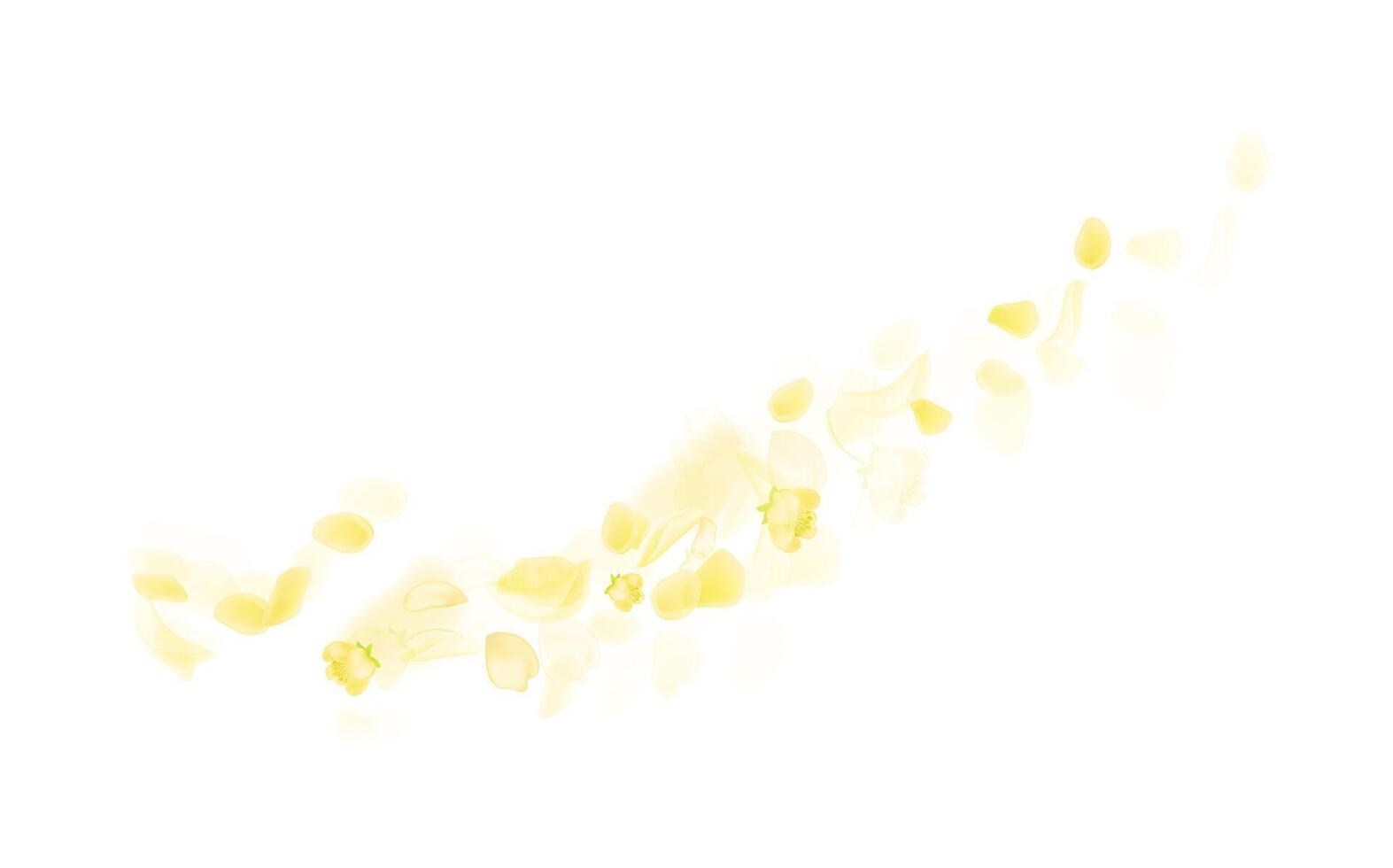 Flying yellow rose or sakura petals.Floral background. vector